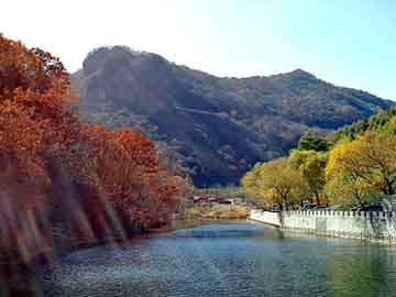 澳彩资料免费长期公开，家电面板